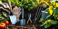 découvrez les équipements essentiels pour entretenir efficacement votre potager et favoriser la croissance de vos légumes et plantes.