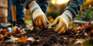 découvrez les gestes essentiels pour préparer votre jardin à l’automne : entretien du sol, taille des plantes et protection contre le froid.
