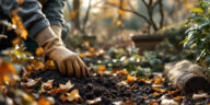 fin octobre, préparez votre jardin pour l’hiver : protégez les plantes fragiles, ramassez les feuilles, plantez les bulbes et nourrissez le sol.